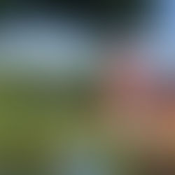 Costelaria Gaúcha Small Farm