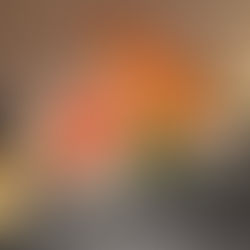 Noru: gastronomia japonesa com sotaque brasiliense