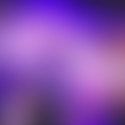 Agenda musical do Wine Sounds