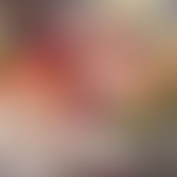 Noru: Um pedaço do Japão em Brasília