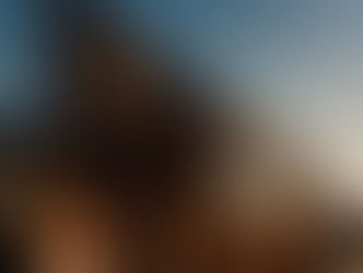 Vinícola Brasília e Bloco Eduardo & Mônica lançam vinhos exclusivos para o Carnaval de 2025