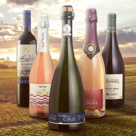 NOVA, a marca mãe dosvinhos finos de uma dasmaiores vinícolas do país