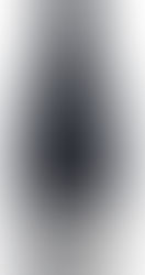 Chegam ao Brasil vinho sem nome e rótulo português elaborado em solo de areia celebrado por Camões