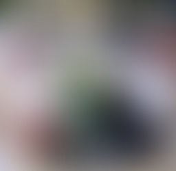 Vinalla Vinhos oferece mais de 50 novos rótulos neste fim de ano