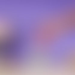 Vinho na lata : marca catarinense defende a informalidade na bebida e conquista o Brasil