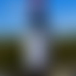 Dia da Cabernet Sauvignon: como surgiu a data em homenagem à uva mais plantada do mundo