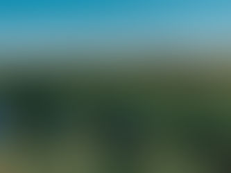 Como a Salton usa monitoramento climático e manejo sustentável para produzir vinhos e espumantes de excelência