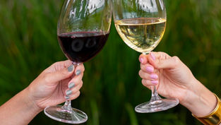 Wine Garden retorna às origens e se consolida como o maior wine bar em taças do Centro-Oeste