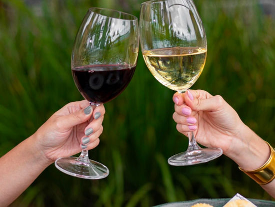 Wine Garden retorna às origens e se consolida como o maior wine bar em taças do Centro-Oeste