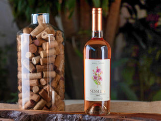 Vem chegando o verão: confira dicas de vinhos frescos e leves