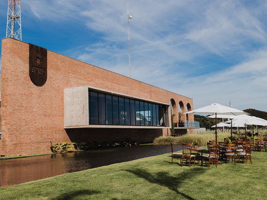 Vinícola Brasília conquista Grande Ouro na França e se destaca entre os vinhos do mundo todo no Vinalies 2026 