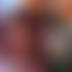 Cinco opções de vinhos para celebrar a Cabernet Sauvignon