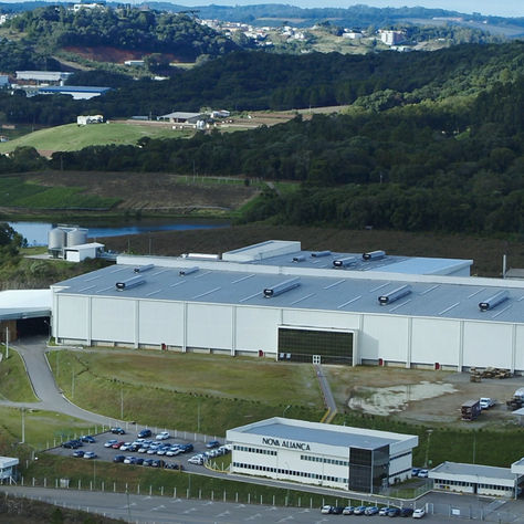 VINDIMA 2024: nova Aliança monta megaoperação para colheita da uva