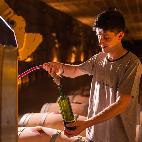 Amostras viajam pelo Brasil