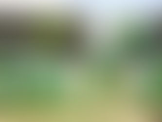 Com mais de 1,8 mil litros de vinhos e espumantes consumidos, 6ª edição do Sálvia, no RS, é sucesso de público