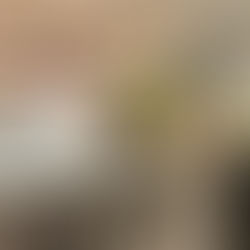 Wine bar em loja de colchões