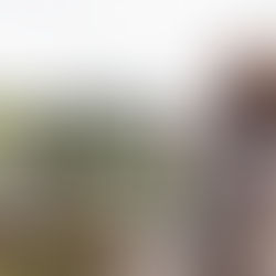 Enoturismo - Almoço no Vinhedo está de volta na Cristofoli