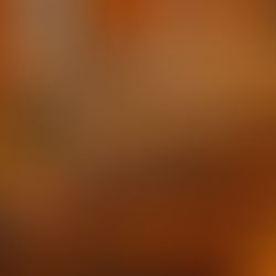 Grape, History and Music: a conexão entre uvas e melodias no O Castelo de São Roque