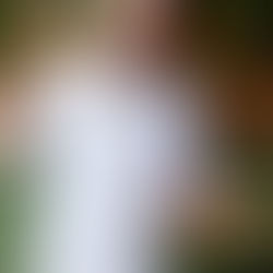 O restaurante Chef Tobias Linguiçaria tem uma novidade especial para o feriado de Carnaval!