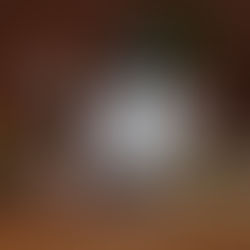 Miolo conquista 95 pontos com Sauvignon Blanc e Malbec