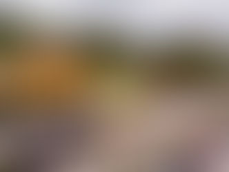 Com foco em experiência, Salton fortalece enoturismo durante a vindima