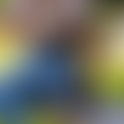 Vinho Campo Largo é eleito o preferido pelos varejistas nas regiões Sul, Norte e Centro Oeste, além dos estados do Maranhão e Piauí