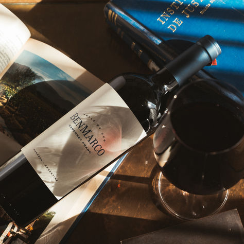 Dia da Cabernet Franc: conheça vinhos dessa uva notável do Corte Bordalês