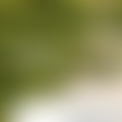 ‘Encontros Radiantes’para brindar o verão