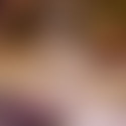 Brasil conhece a expressão da Safra 2023 neste sábado