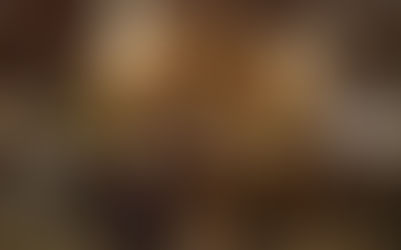 Importadora Tanyno estreia na ProWine