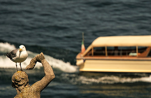 Möwe auf Statue und Boot im Hintergrund