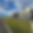 Grass Lawn Fencing Landscaping.png