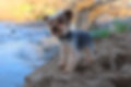 Picsart_23-04-22_03-12-56-651_Original.jpeg