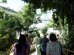 Visita da Casa de RepousoVila do Sol