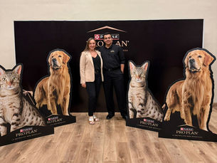 La dermatitis atópica canina: un riesgo creciente durante la temporada lluviosa