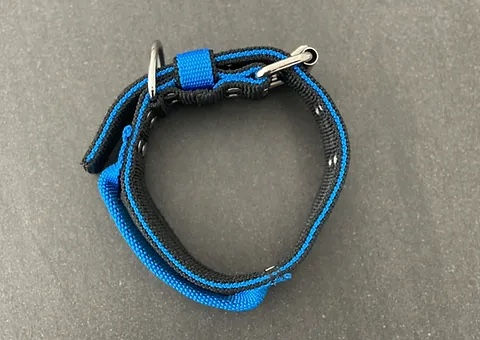 Thumbnail: Black & Blue 5CM Double Buckle Dog Collar with Handle