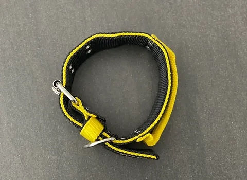 Thumbnail: Black & Yellow 5CM Double Buckle Dog Collar with Handle