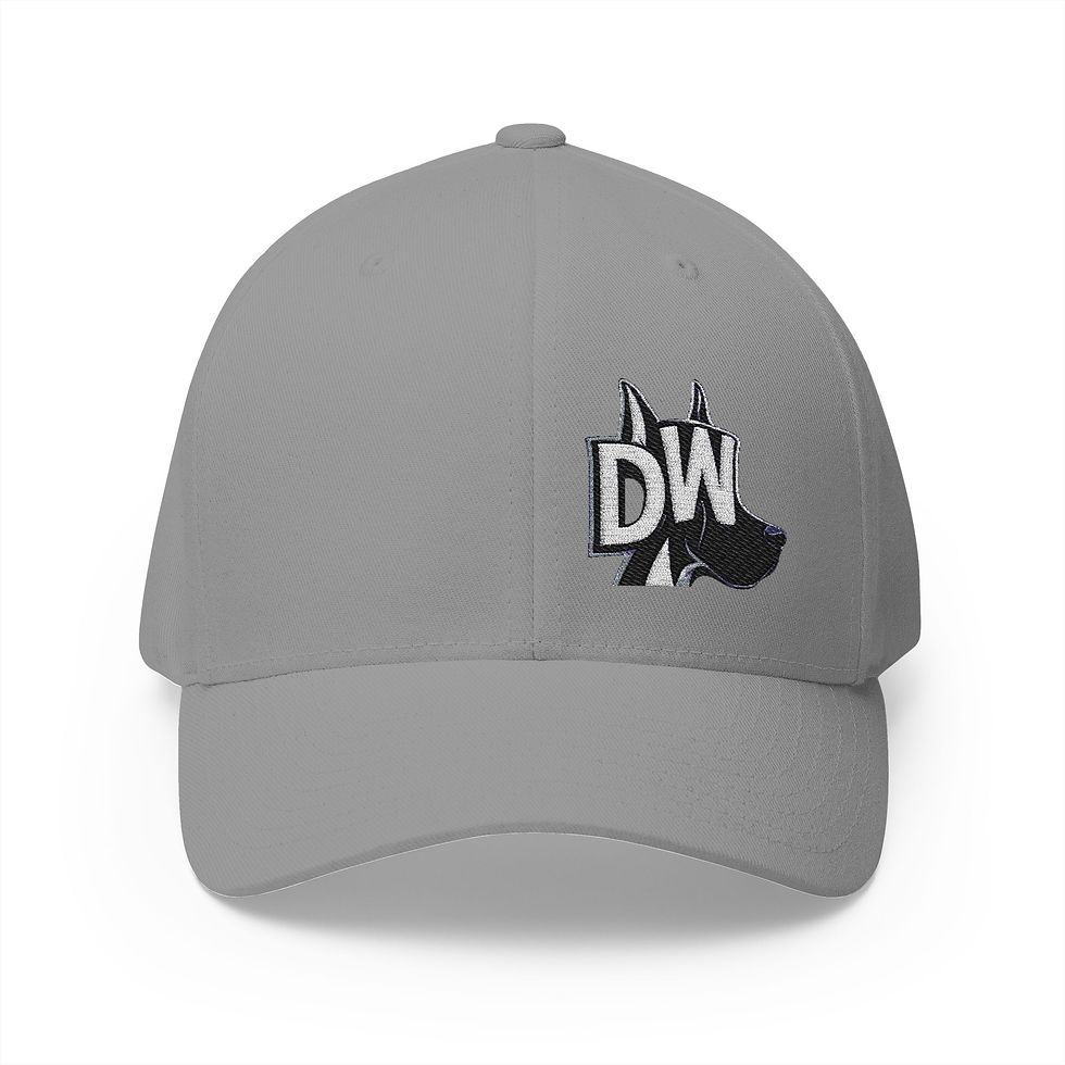 Thumbnail: Dane Whisperer Embroidered Closed Back Casual Hat