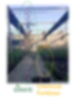 Click to expand