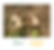 Click to expand