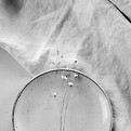 unsplash-1ZYKRmTb2BE_edited.jpg