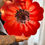 Miniature : Plateau fleur coquelicot 