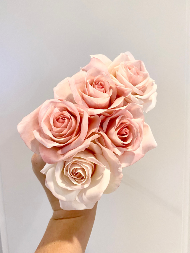 Sugar Roses