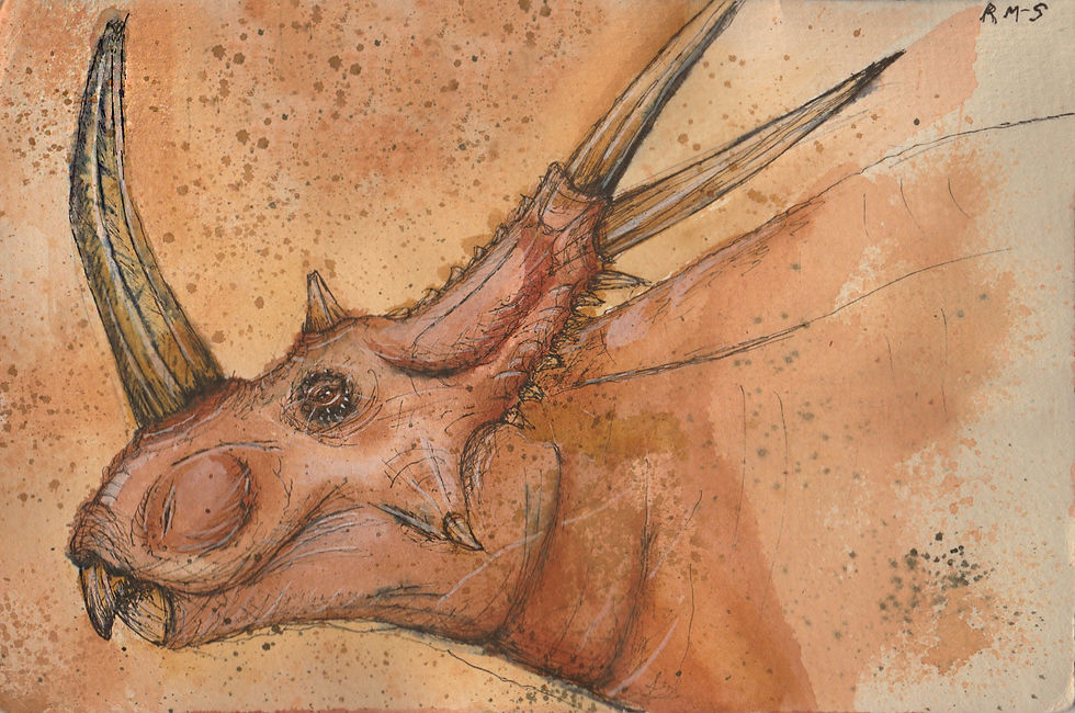 Rubeosaurus