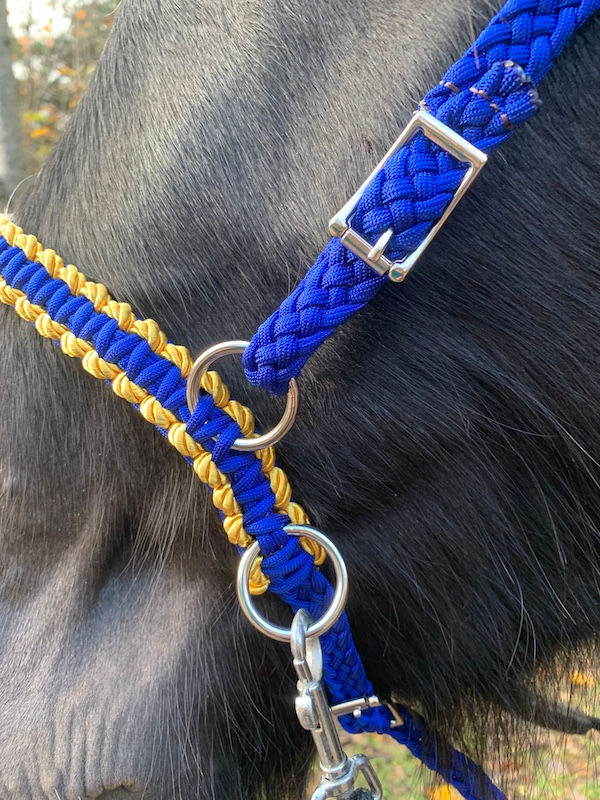 Thumbnail: muserolle bleue et or side pull