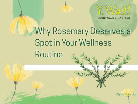 Why Rosemary Deserves a Spot in Your Wellness Routine