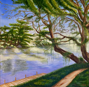 Arbre penché sur la rivière