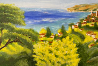 Mimosa dans les alpes martimes