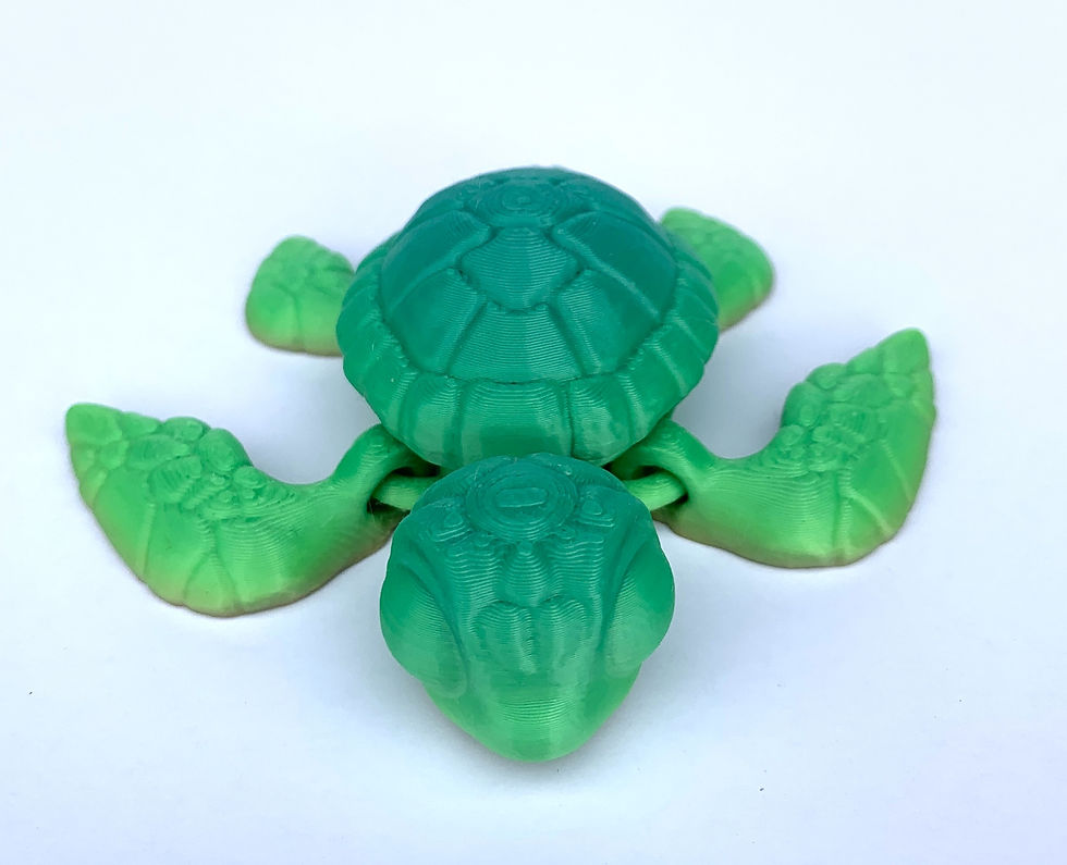 Thumbnail: Sea Turtle