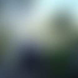 ...de passage à Mortemart